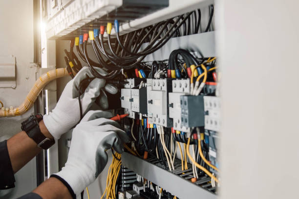 Best Electric Panel Repair  in Neffs, OH